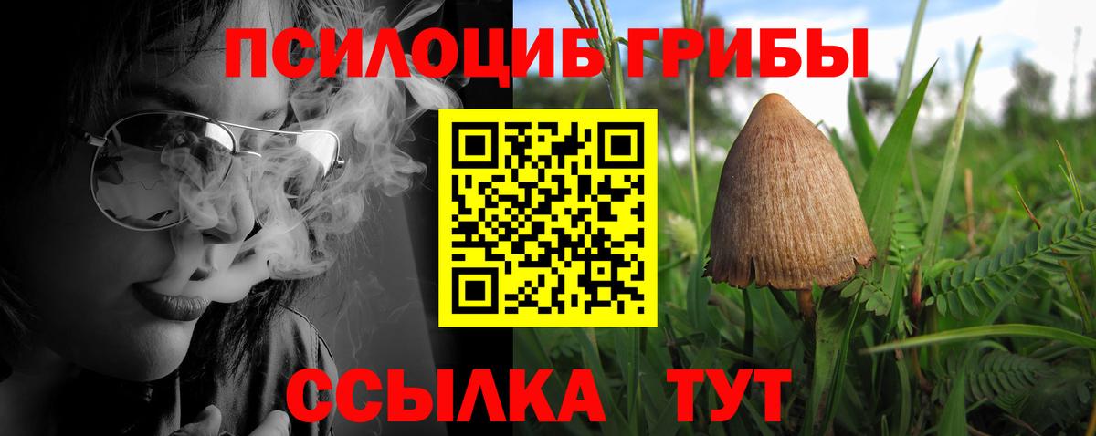 Галлюциногенные грибы GOLDEN TEACHER Нальчик